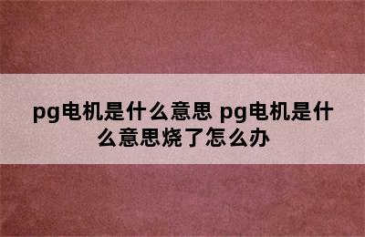 pg电机是什么意思 pg电机是什么意思烧了怎么办